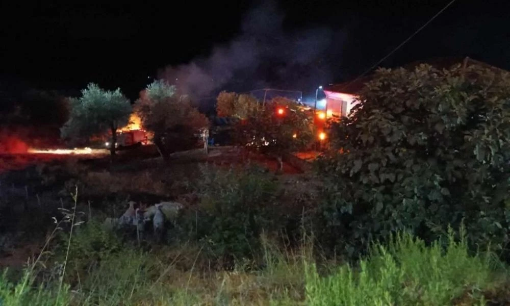 Θεσπρωτία: Όχημα τυλίχτηκε στις φλόγες στην Βρυσέλα Φιλιατών